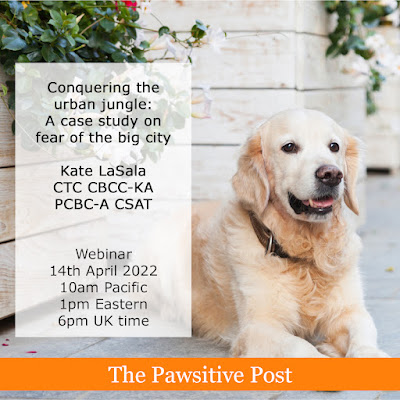 Upcoming Pawsitive Post event: Conquering the urban jungle (flyer)