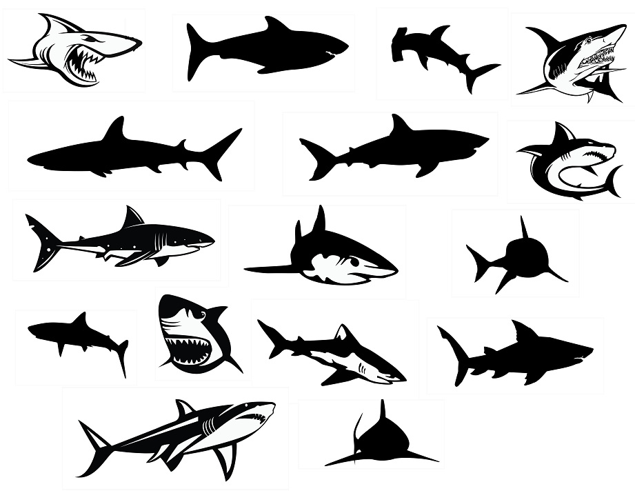 Free Free 168 Shark Svg File Free SVG PNG EPS DXF File