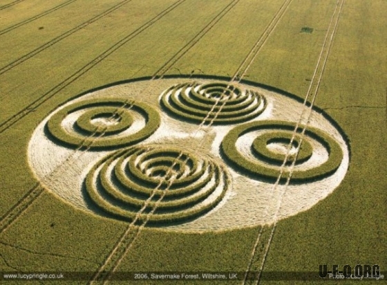 Crop Circle Information