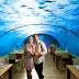 Ithaa undersea restaurant opens for visitors from other resorts