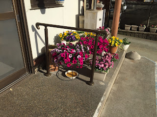 お店の前の花