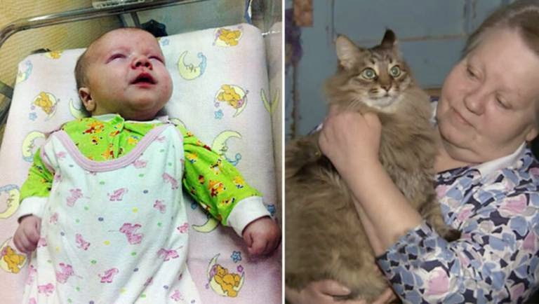 Kucing Pahlawan Menyimpan Hidup Bayi Dengan Mengeong Meminta Bantuan