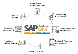 SAP Business One Partner in Mumbai