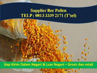 Jual Bee Pollen Jakarta, TELP. 0821 3299 4953, Jual Bee Pollen Murah Jakarta