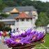 Temple of the Tooth Relic (Dalada Maligawa)