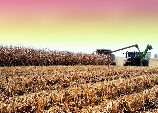 How long does planting and harvest last on a farm?