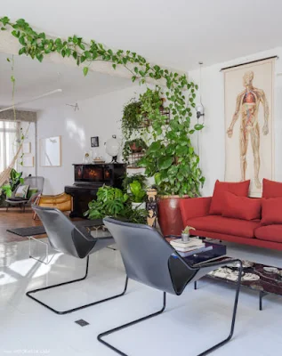 Como utilizar plantas na decoração de interiores