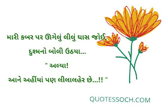 50+Best Gujarati Suvichar