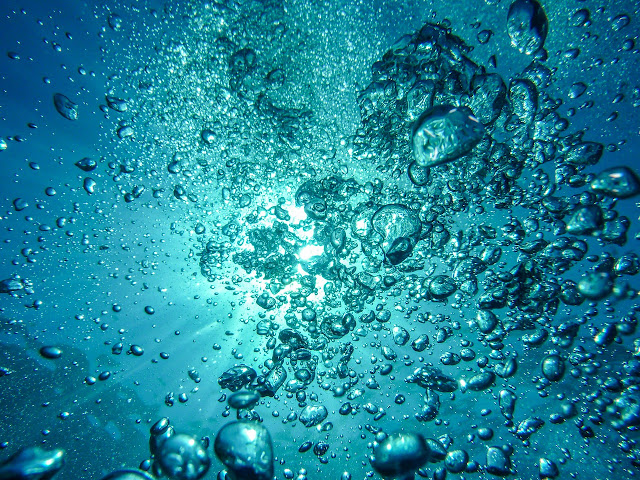 Mengenal Aquaphopia  Fobia Terhadap Air