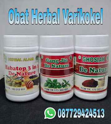 Rekomendasi Obat Untuk Penyakit Varikokel Herbal Produk De Nature