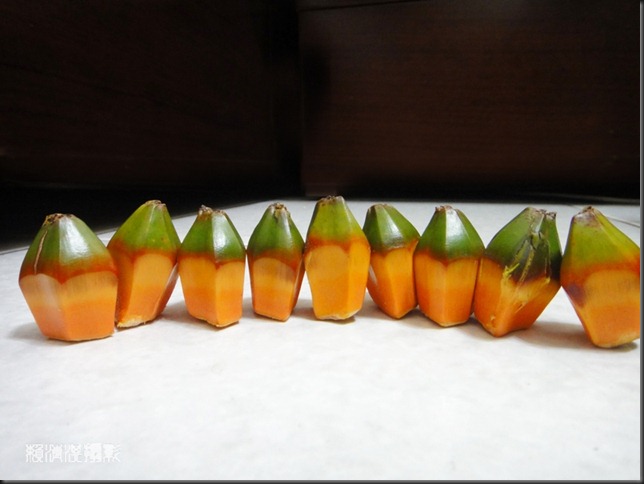aDSC00973