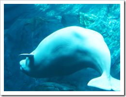 Slide14