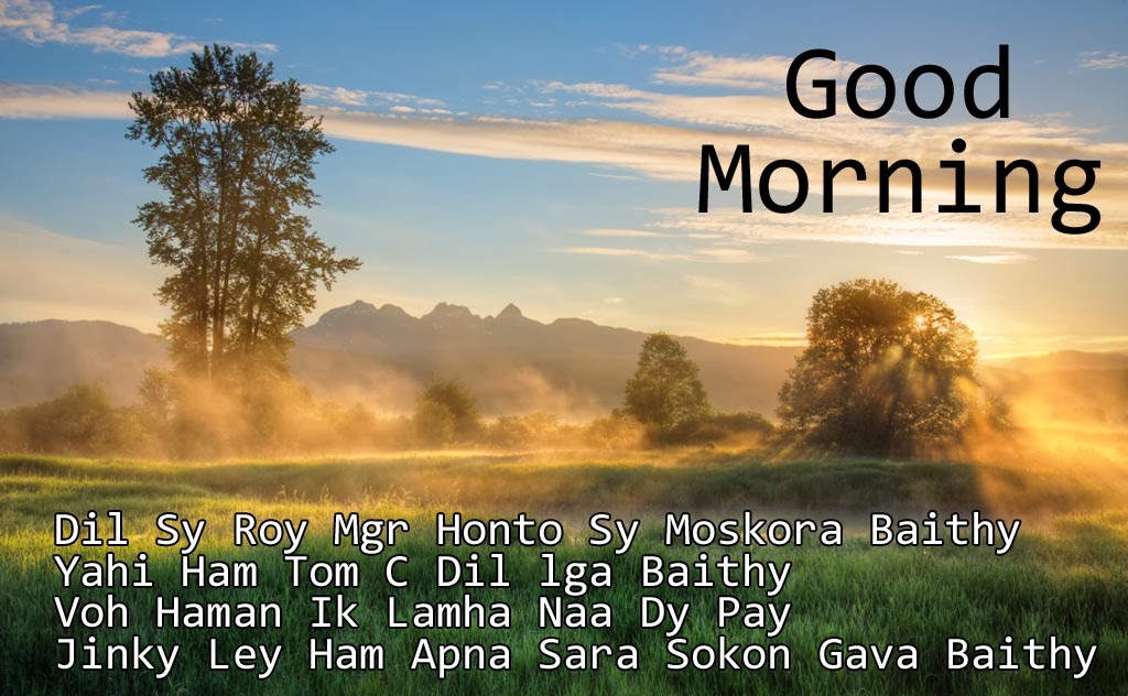 Good-Morning-SMS-For-Girlfriend-Romantic-In-Hindi-140-Character