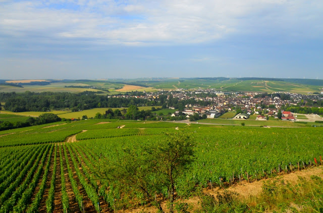 stad chablis, wijntoerisme, oenotoerisme,wijntoerisme chablis, vititours chablis, chablis, wijngaarden chablis, 