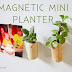 PUBLISHED in Lake Wedowee Life  Magnetic Cork Mini Planters 