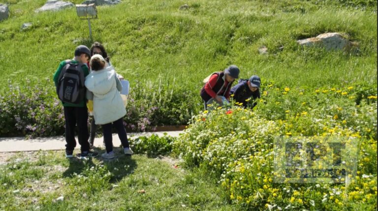 Ανακαλύπτοντας τις σχέσεις ανθέων – επικονιαστών στο Κάστρο Μυτιλήνης