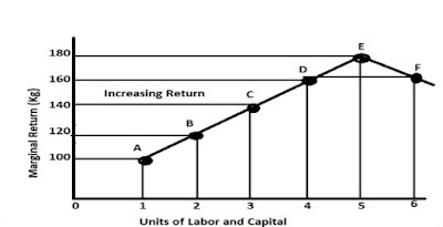 Law of Increasing Return Schedule & Diagram: