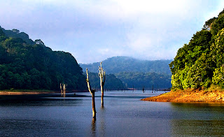 thekkady tour