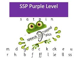SSP - Purple Level