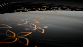 Renault Sandero first teasers of Concept Stepway