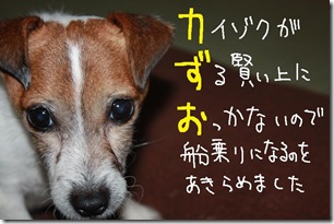 今日カズ１００２１７　８
