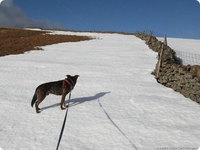 following a snow drift