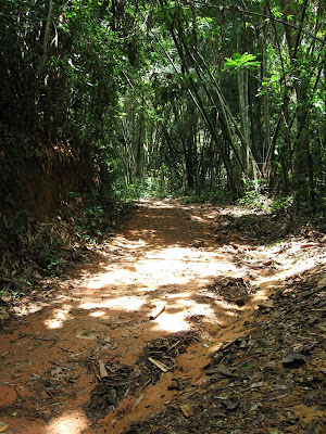  But in that location are enough of spectacular islands  bestthailandbeaches: KHAO SOK