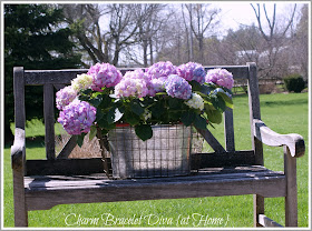 large leaf hydrangea galvanized tub vintage wire crate