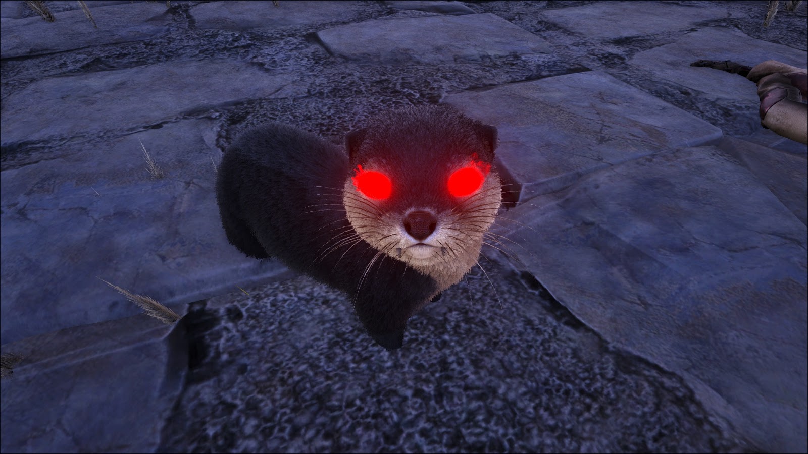 Passione Inc 全クリ目指すark Island編 その11 Ark