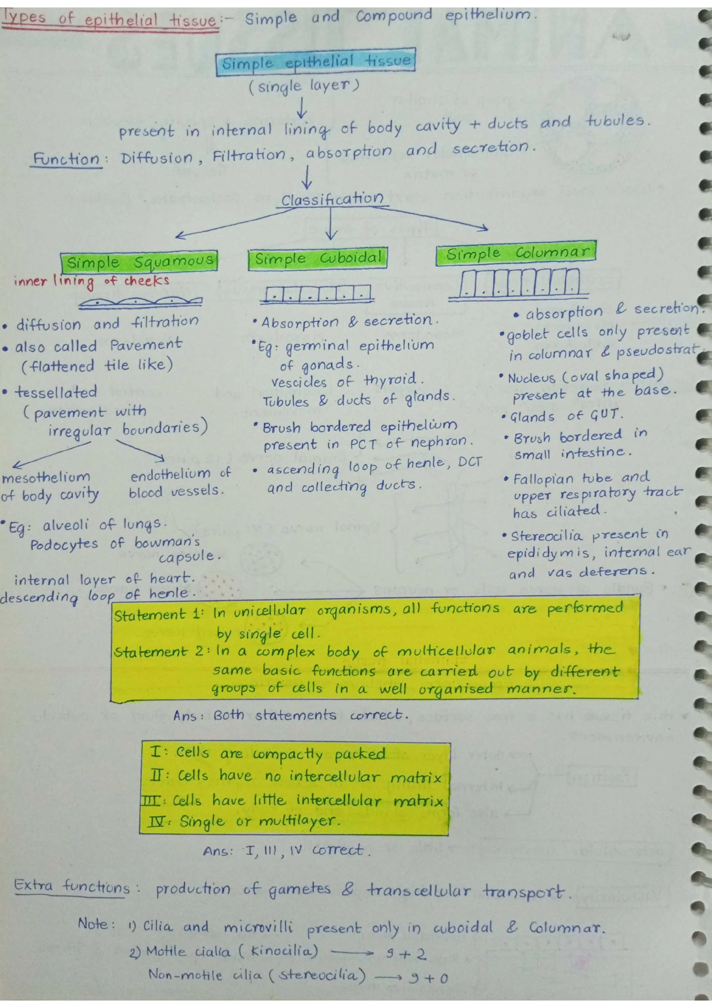 Animal Tissues - Biology Short Notes 📚