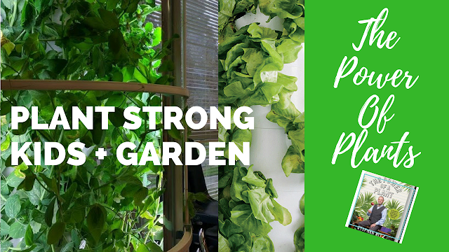 Plant Strong Kids I Paleo Vegeo Urban Gardening