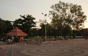 My Neighbourhood