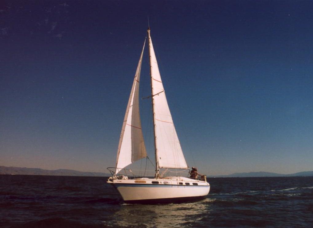 RADICALS: The sailboat