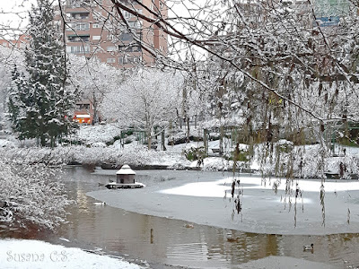 El Lago de Coslada - Coslada se tiñe de blanco