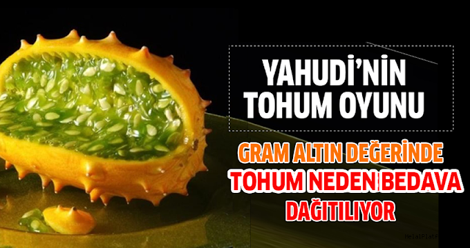 YAHUDİ'NİN TOHUM OYUNU: Gramı altın değerinde ama bedava dağıtılıyor