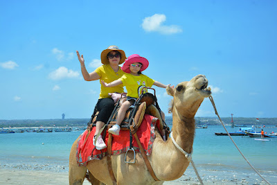 Bali Camel Riding