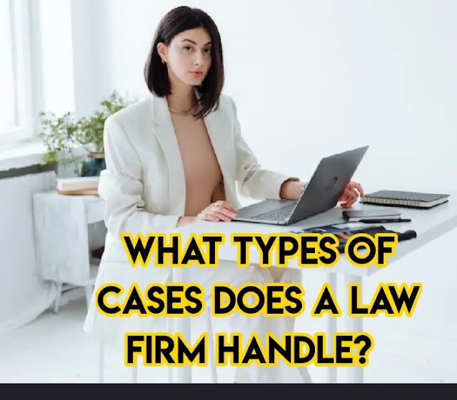 What types of cases does a law firm handle?