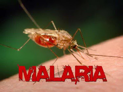 alat pendeteksi malaria