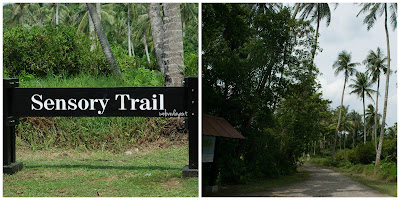 More trails for families and friends to explore in Pulau Ubin for a day out