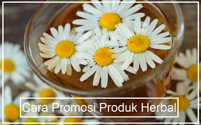 promosi produk herbal