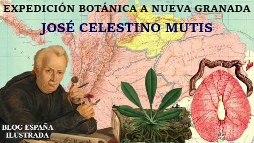 expedición botánica de José Celestino Mutis