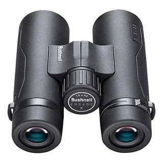 Bushnell Engage X 10x42mm Binoculars: Exploring the Outdoors