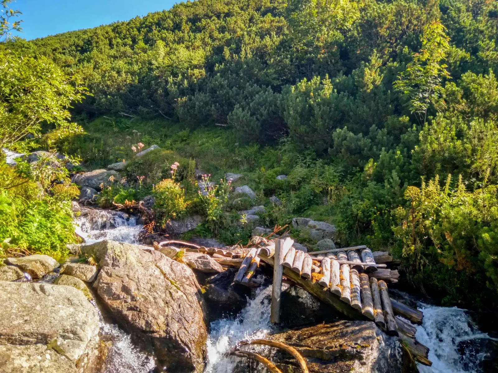 Tatry. Tatry Zachodnie. Główna grań Tatr. Szczyty Tatr. Bystra. Najwyższy szczyt Tatr Zachodnich. Bystra wejście od strony słowackiej. Lato w Tatrach. Łatwe szczyty w Tatrach.