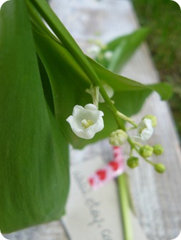 P1140008