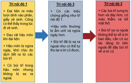 Biểu hiện của bệnh trĩ cấp độ 1