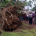 trending:Rain Storm Damage UNILAG Hostels (Photos)