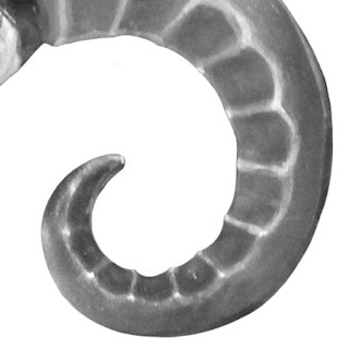 rumour engine