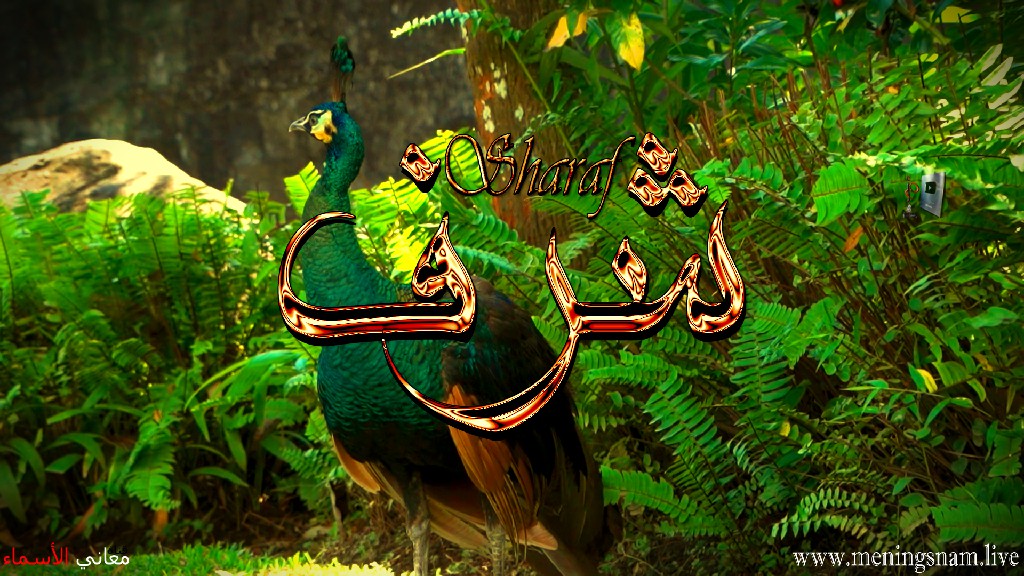 معنى اسم, شرف, وصفات, حامل, وحاملة هذا الاسم, Sharaf,