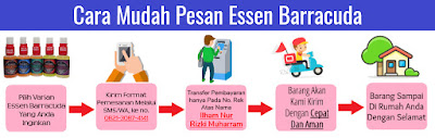 https://rajaessentsm.blogspot.com/2018/12/cara-pemesanan-essen-barracuda-termudah.html