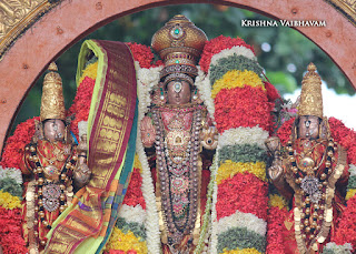 Aani,Suirya PRabhai, Purappadu , Vahanam,Sri Theliya Singar, Yoga Narasimhar,Brahmotsavam ,Purappadu,Video, Divya Prabhandam,Sri Parthasarathy Perumal, Triplicane,Thiruvallikeni,Utsavam,